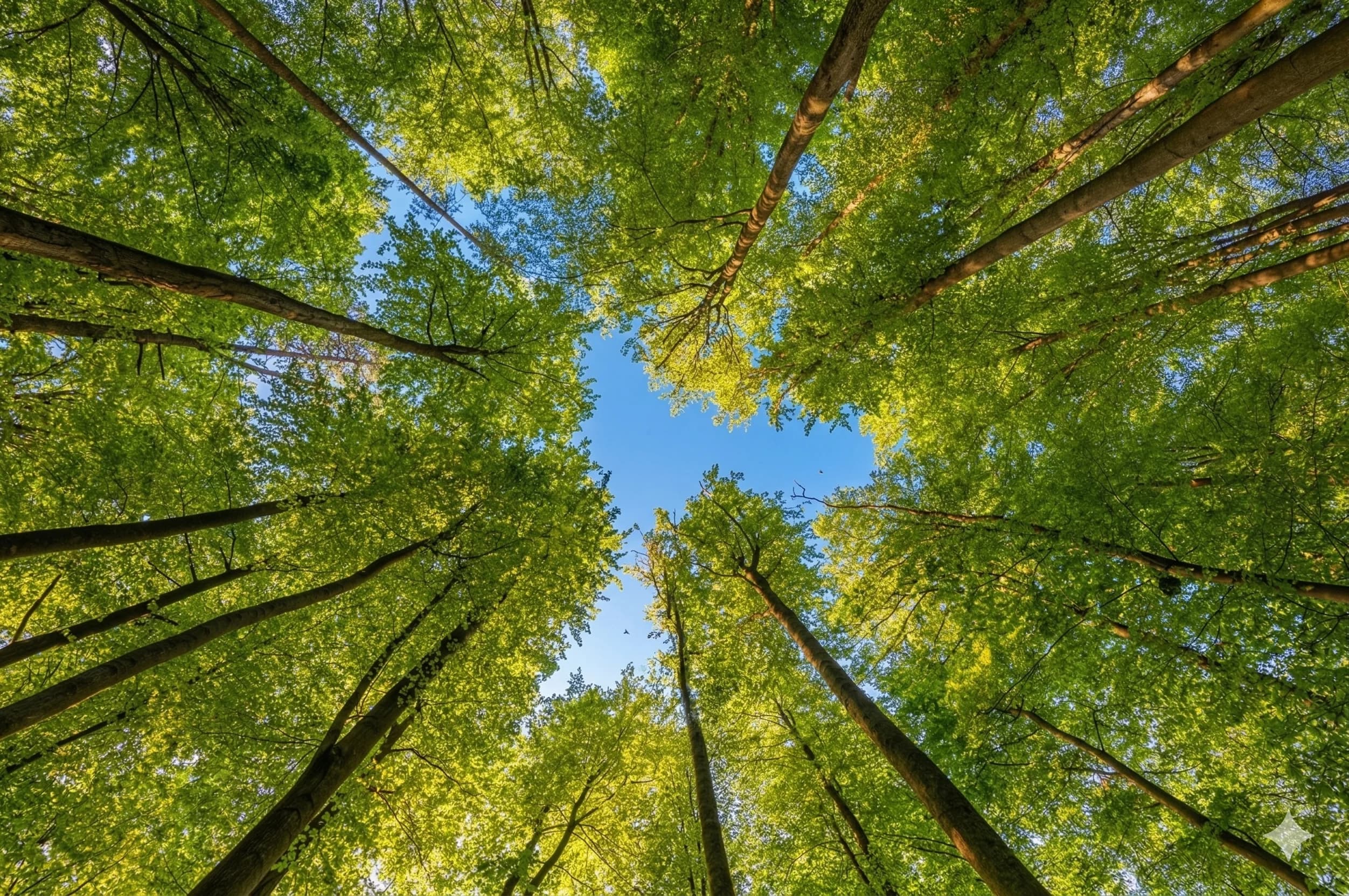 Green energy landscape